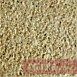 Gold Granite